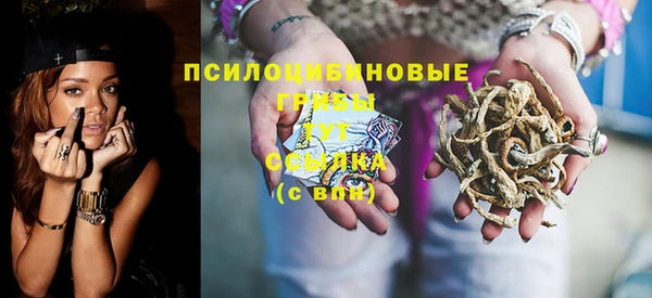 мдпв Богородицк