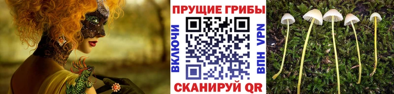 Псилоцибиновые грибы мухоморы  Сунжа 