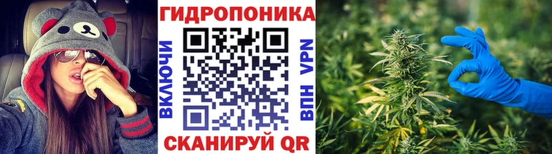 дарк нет состав  Сунжа  Канабис ГИДРОПОН  hydra ONION 
